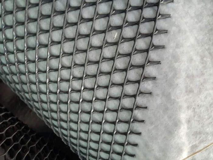 �����w�S�������